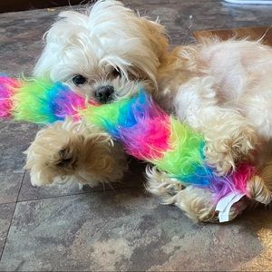 Meet your Posher, Taylor